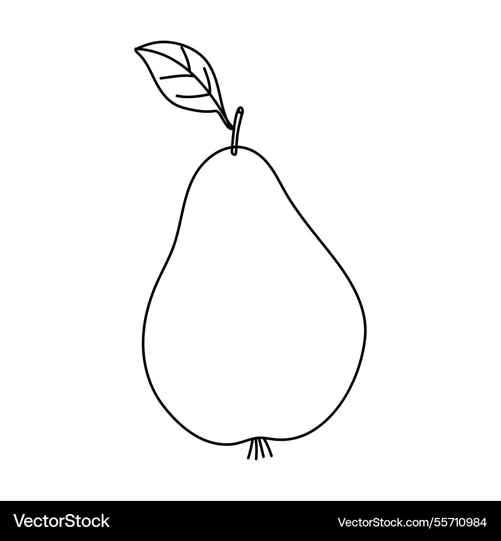 Simple line drawing of a pear with leaf Vector Image