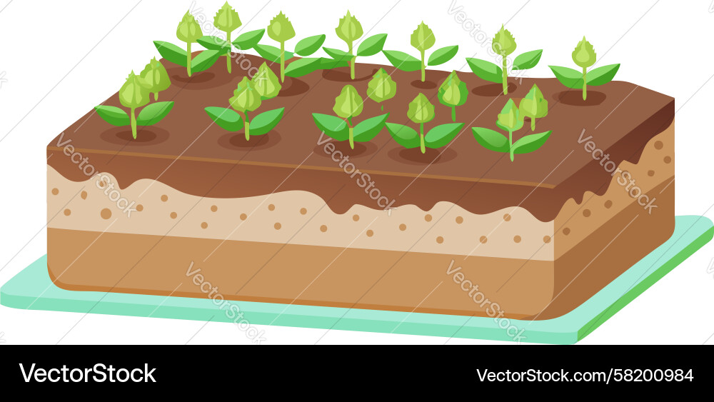 Sprouting Seed Cake Plot Vector Image