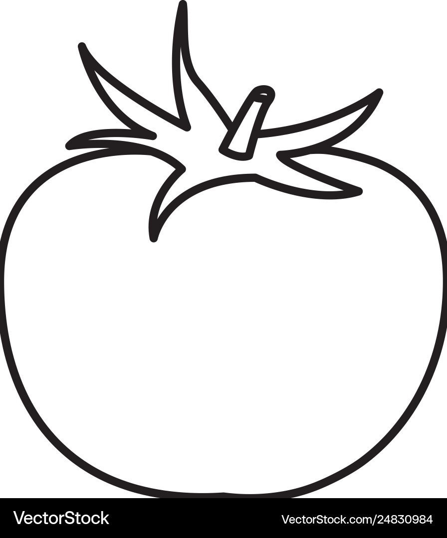 Tomato icon cartoon black and white Tomato icon cartoon black and white vector image