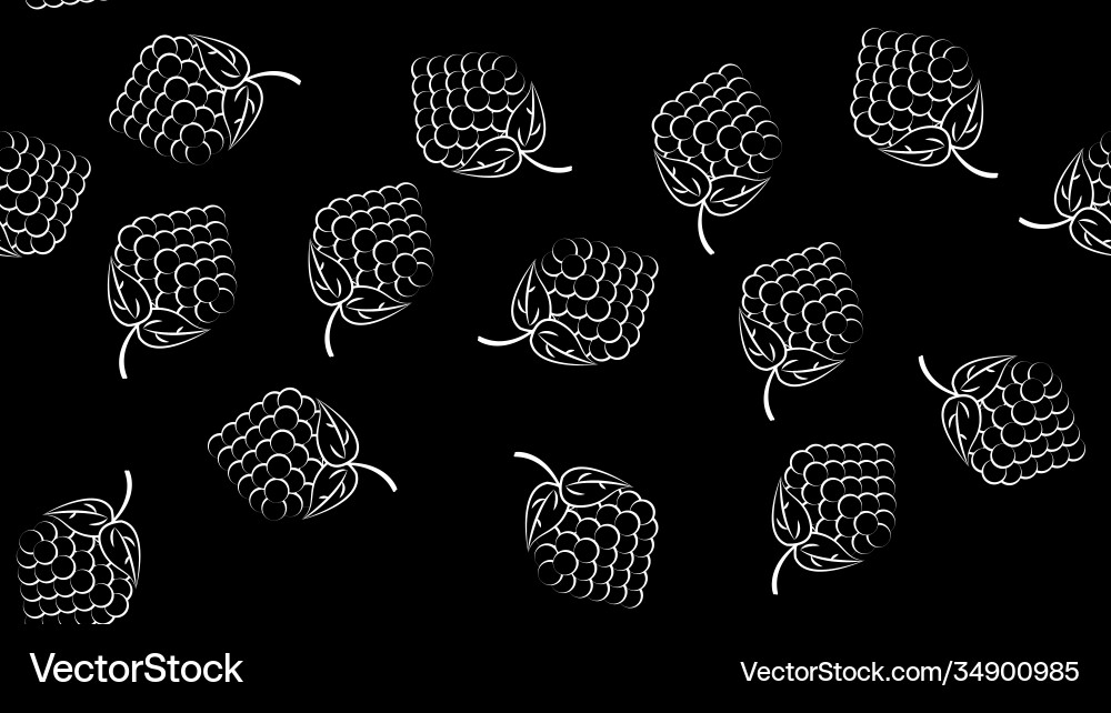 Grape bunch seamless pattern on white background vector image