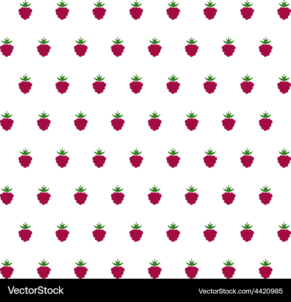 Raspberry Background Pattern Vector Image