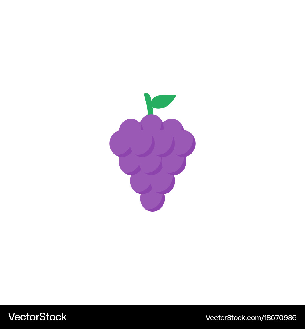 Flat icon grape element vector image