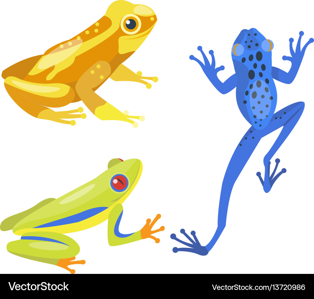 Frog Cartoon tropische Tier Natur Ikone Frog Cartoon tropische Tier Natur Ikone vektorbild