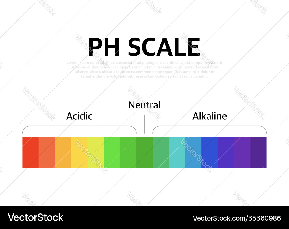 Ph Scale Universal Indicator Chart vector image