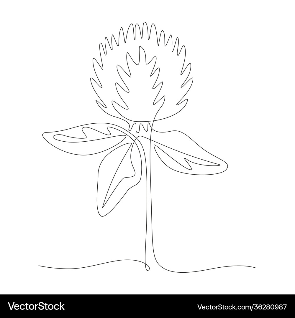 Continuous one line drawing red clover Continuous one line drawing red clover vector image