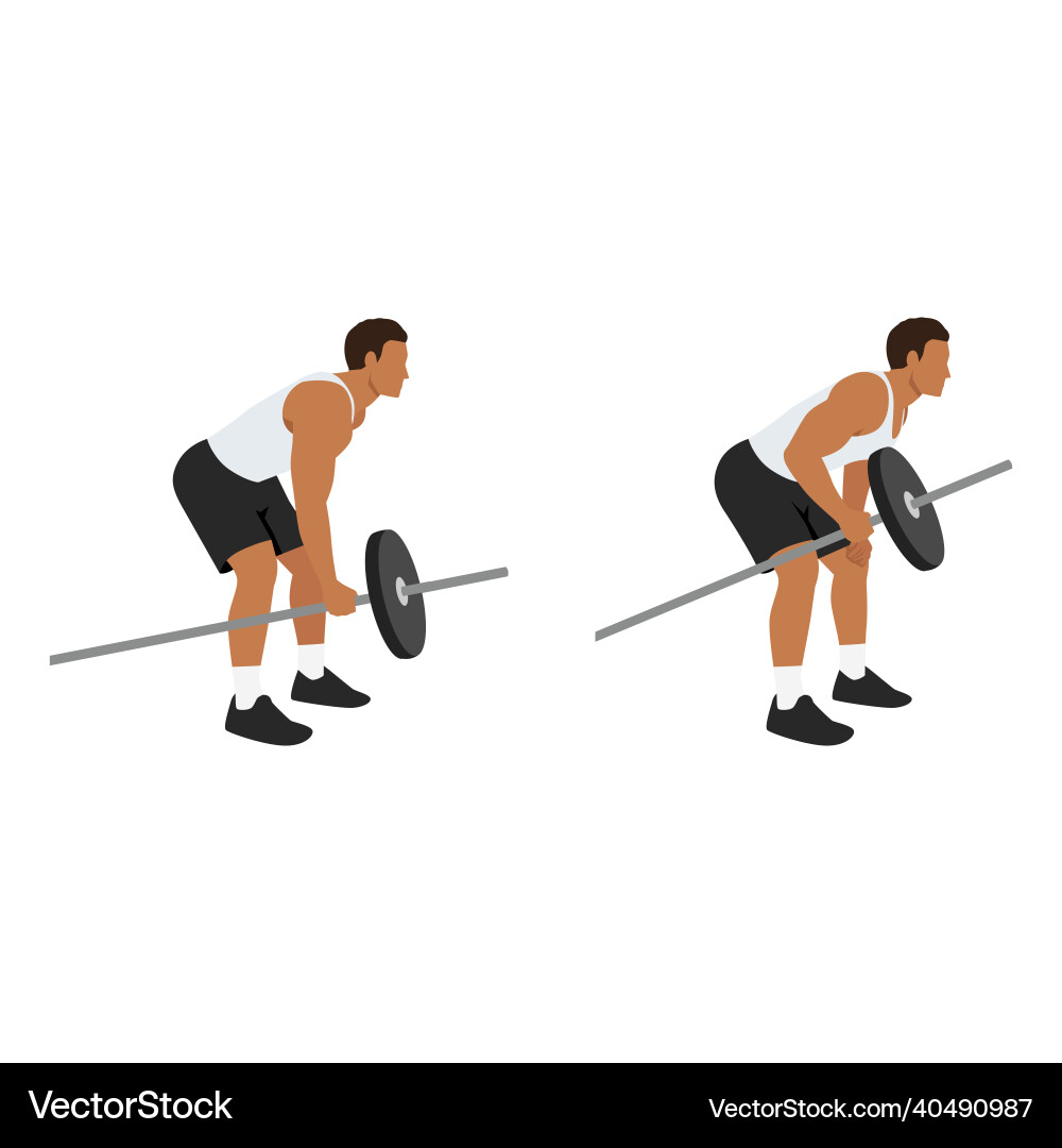 Man doing one arm barbell rows exercise Man doing one arm barbell rows exercise vector image