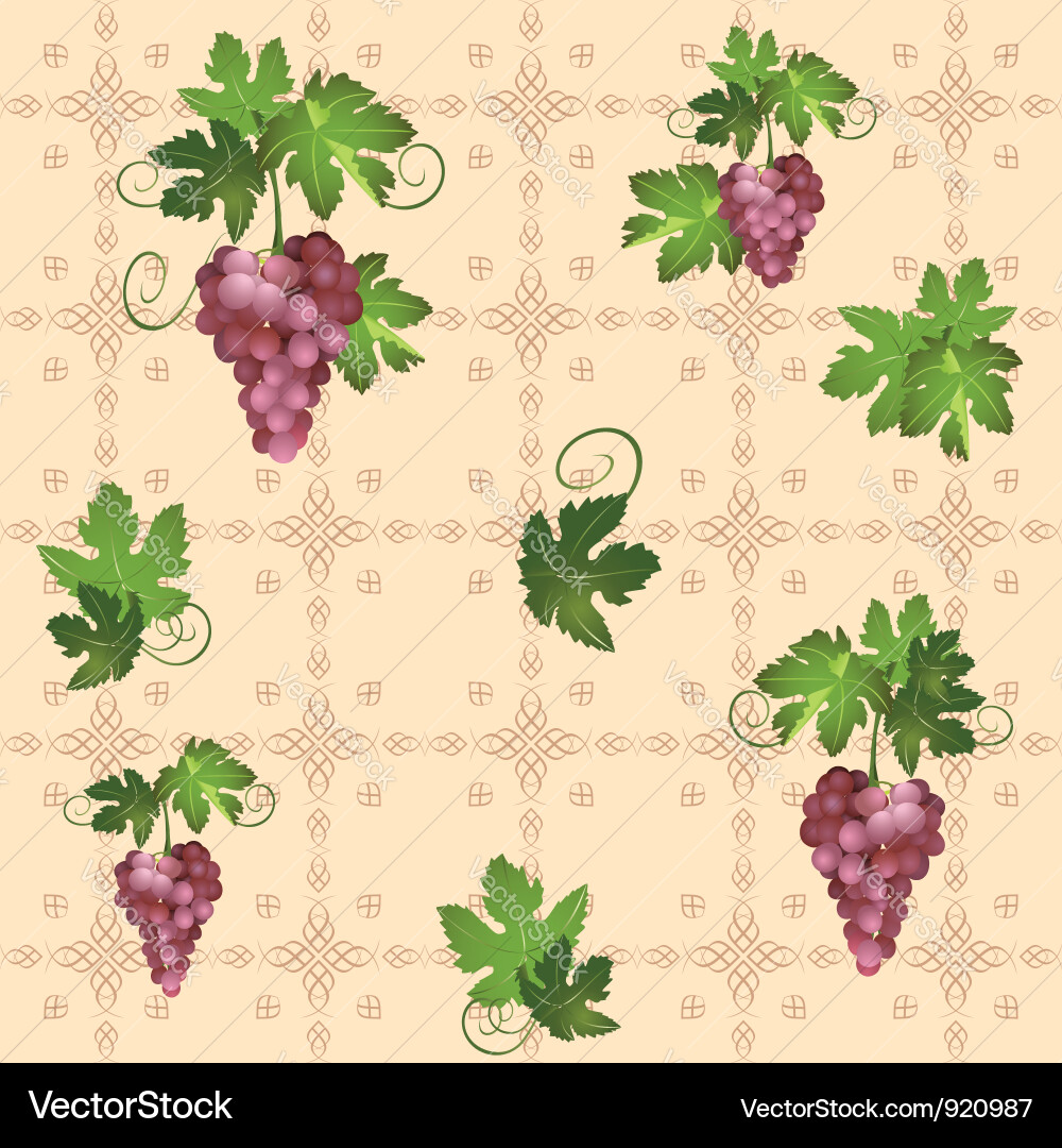 Pattern with grape Vector Image
