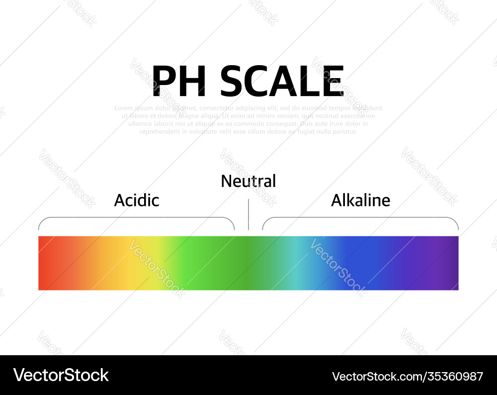 Ph scale universal indicator color chart Ph scale universal indicator color chart vector image