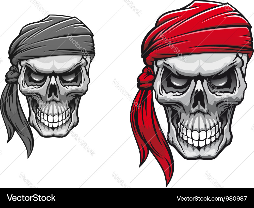Pirate Skull with Bandana vector image