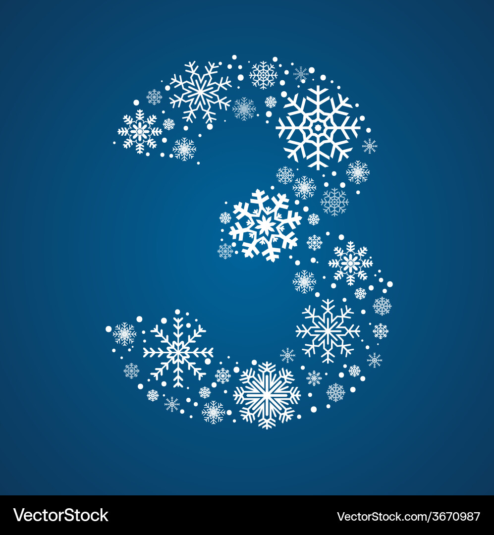 Snowflake Number 3 vector image
