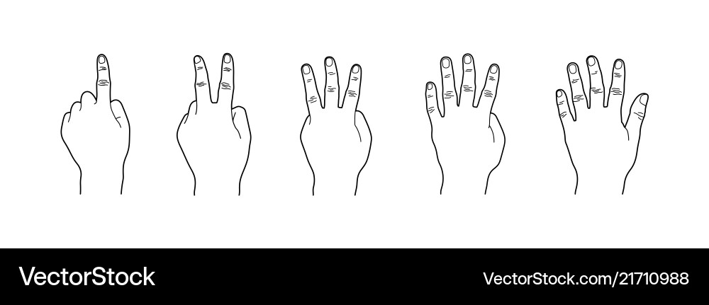 Hand gesture counting one two three four five Hand gesture counting one two three four five vector image
