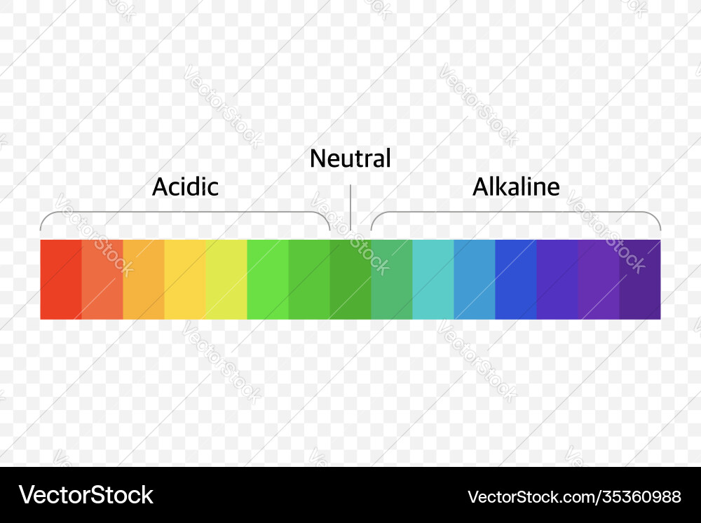 Ph scale universal indicator color chart Vector Image