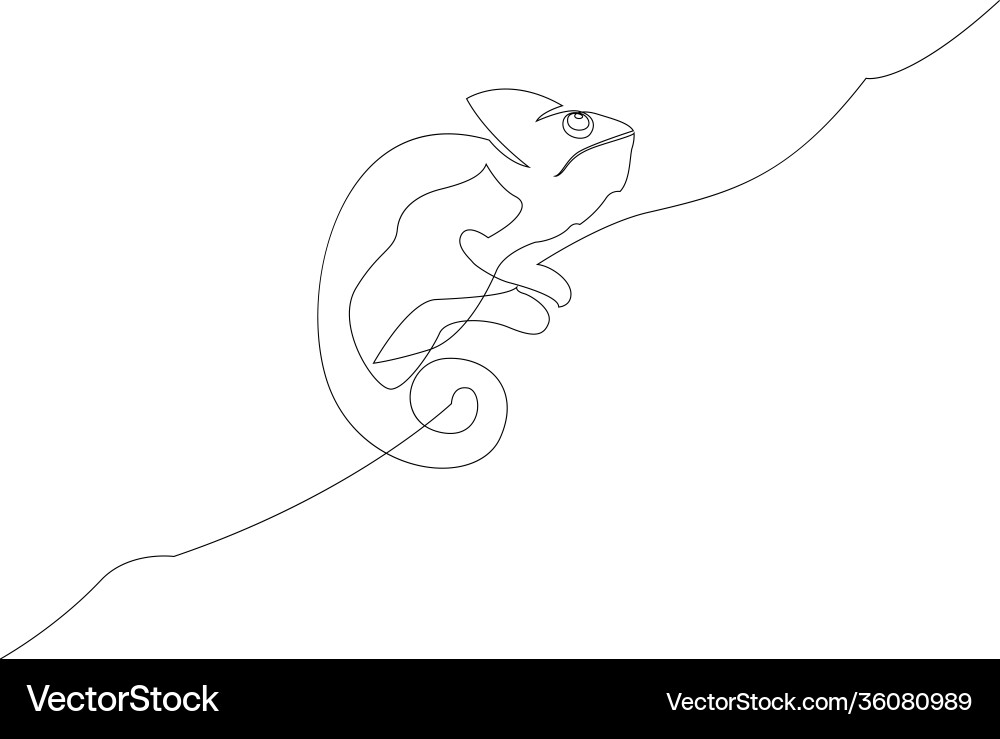 One line drawing chameleon continuous Vector Image