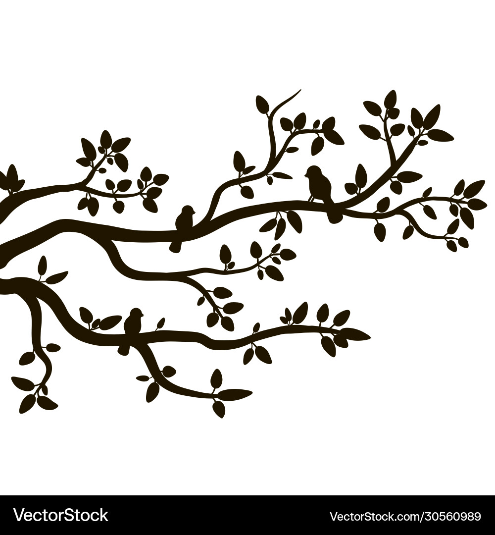 Spring Birds on Twig Silhouette Vector Image