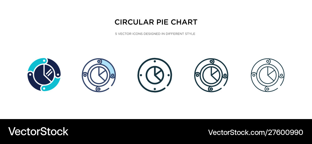Circular pie chart icon in different style two vector image