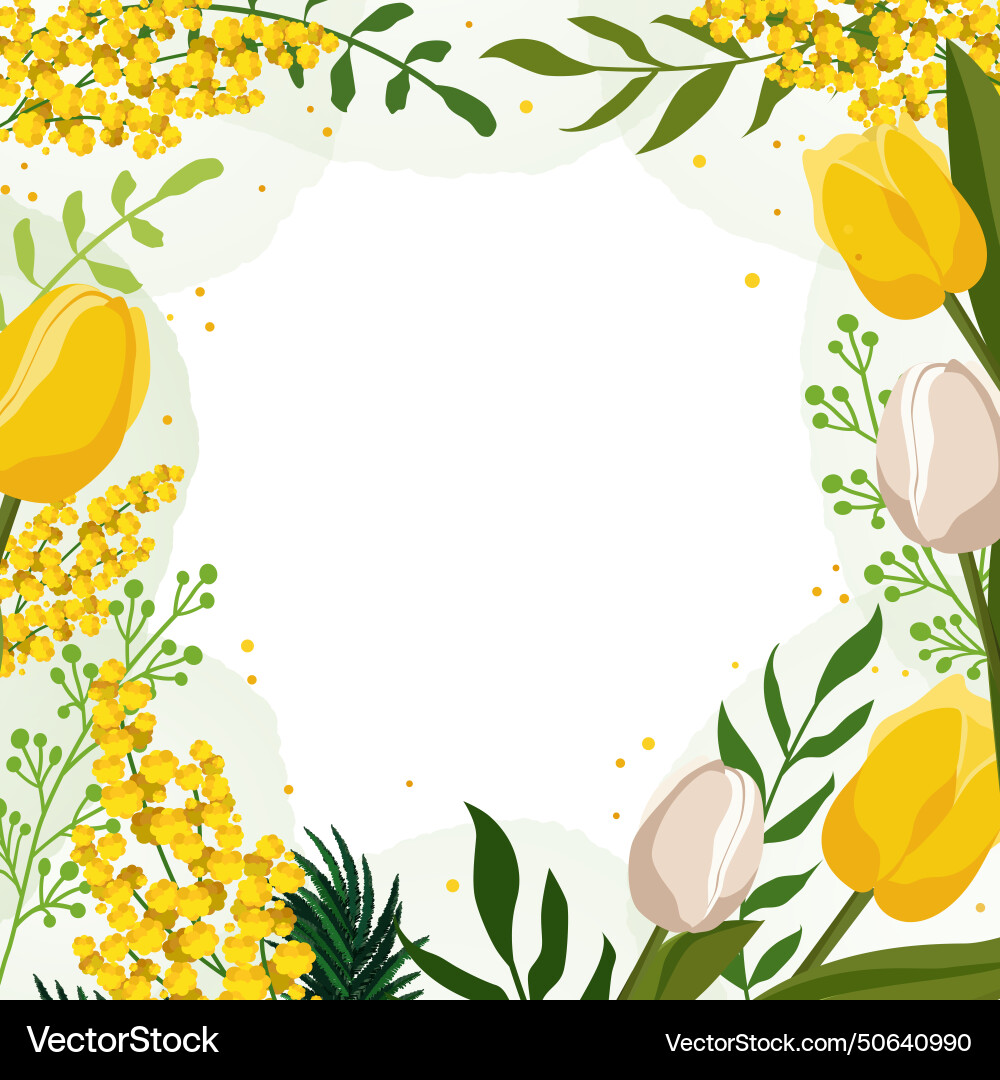 Spring square frame with yellow tulips and mimosa Vector Image