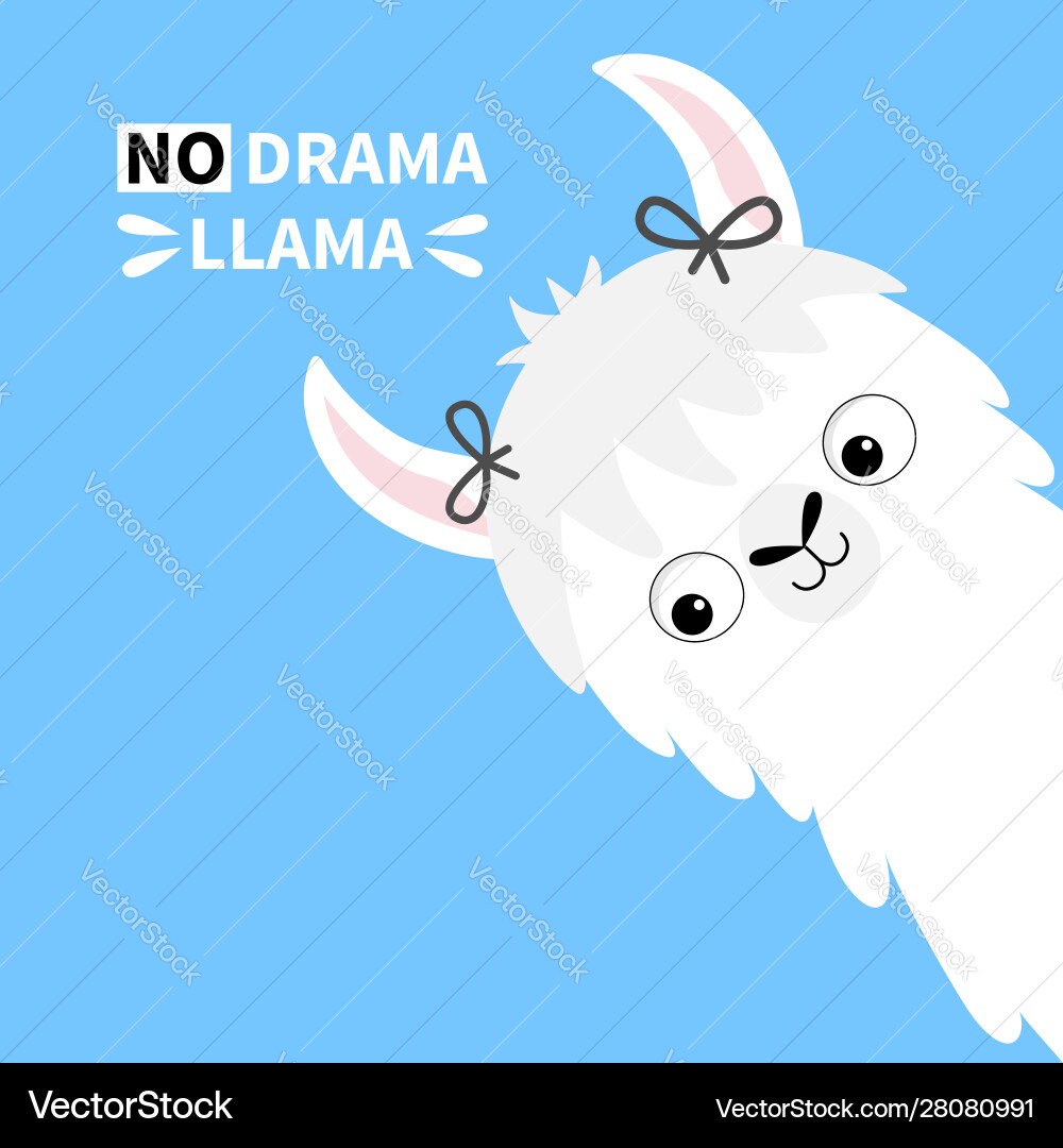 Llama alpaca animal face no drama girl with bow Llama alpaca animal face no drama girl with bow vector image