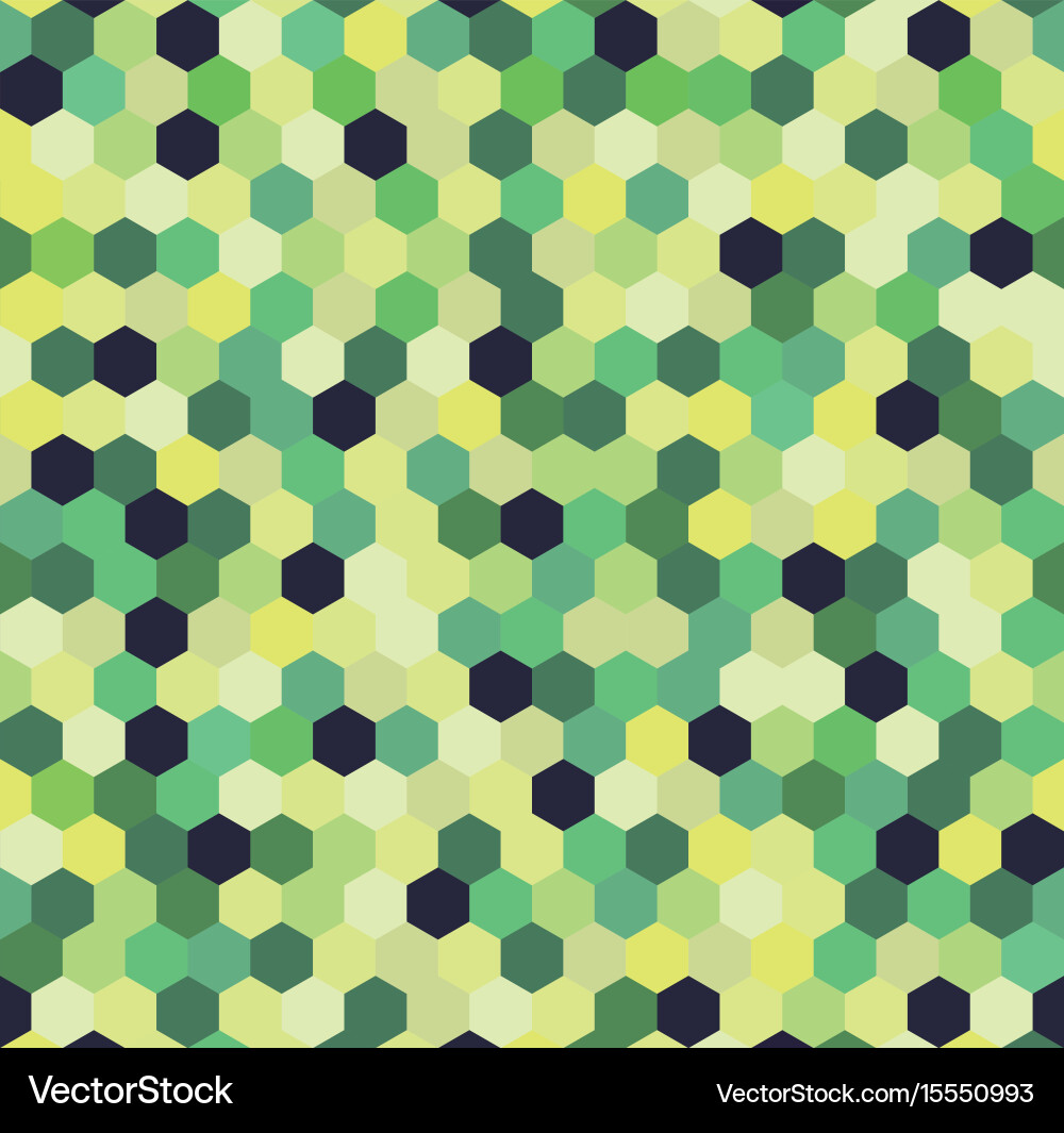 Geometric Hexagon Pattern vector image