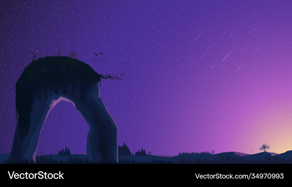 Sunset in a field with pine trees and large Vector Image