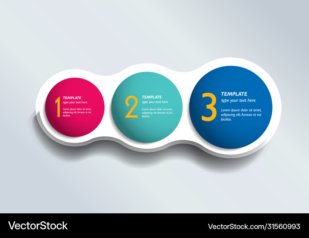 Three steps elements bubble chart scheme diagram Three steps elements bubble chart scheme diagram vector image