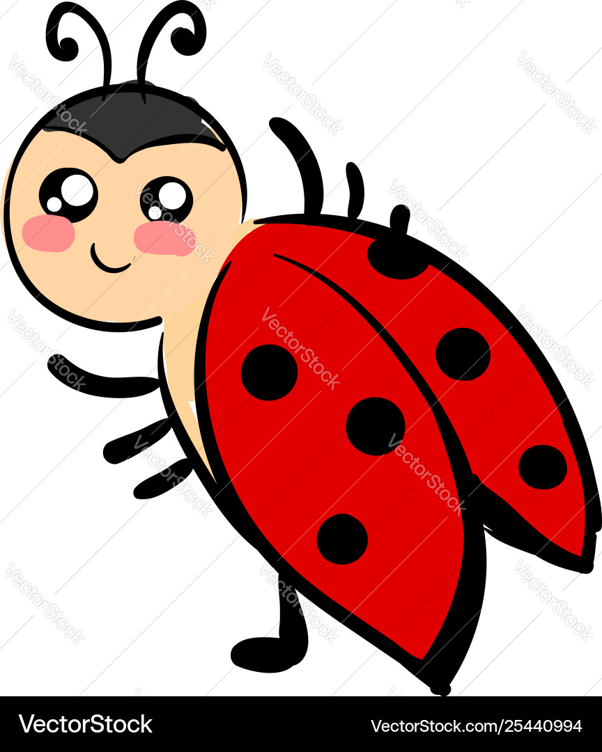 Cute ladybug or color Vector Image