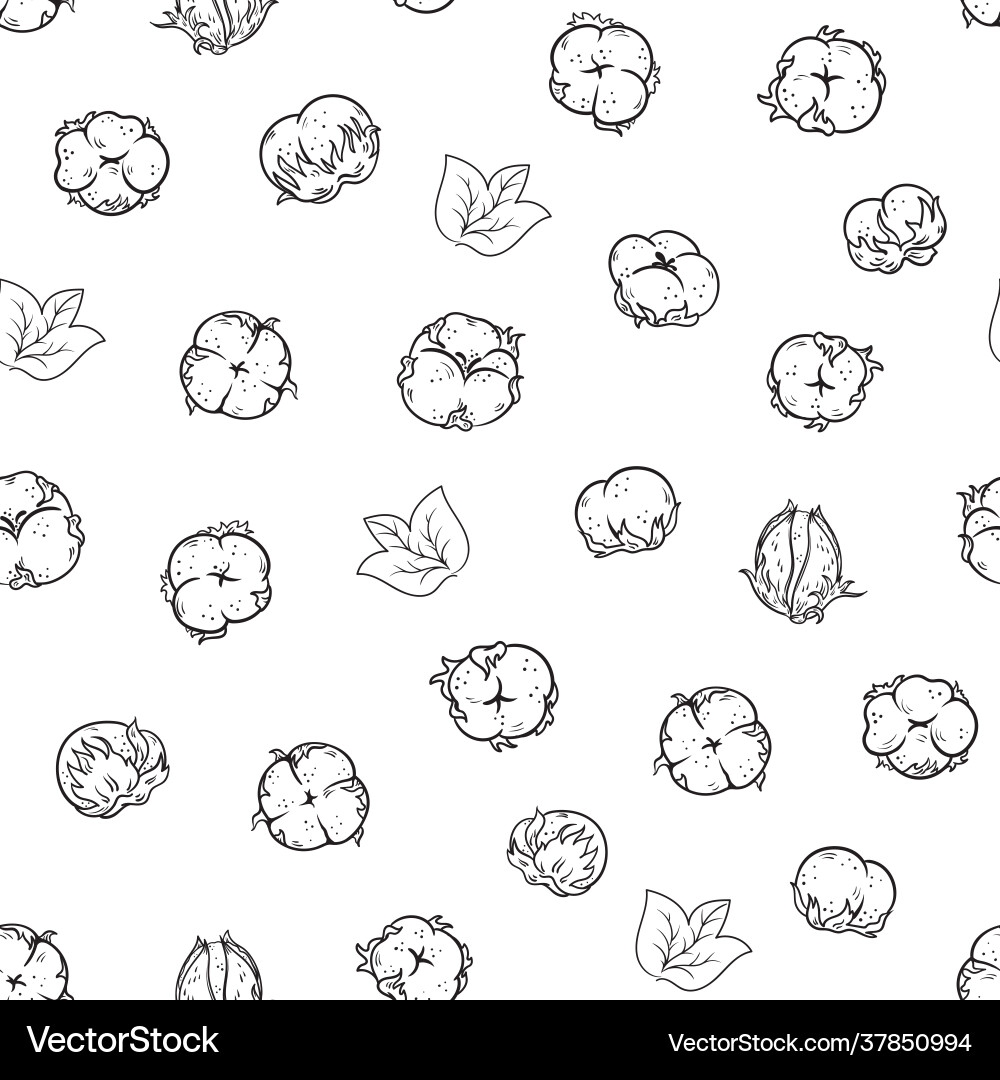 Seamless pattern with cotton flowers ball Vector Image