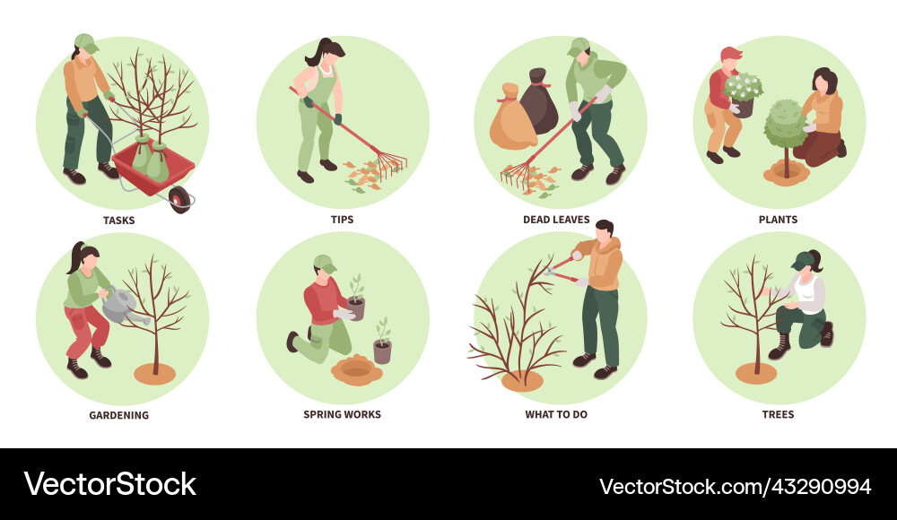 Spring Gardening Compositions Vector Image