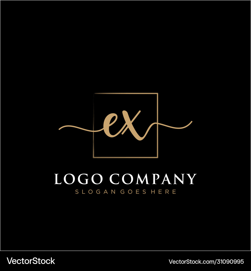Ex initial handwriting logo with rectangle Ex initial handwriting logo with rectangle Vector Image