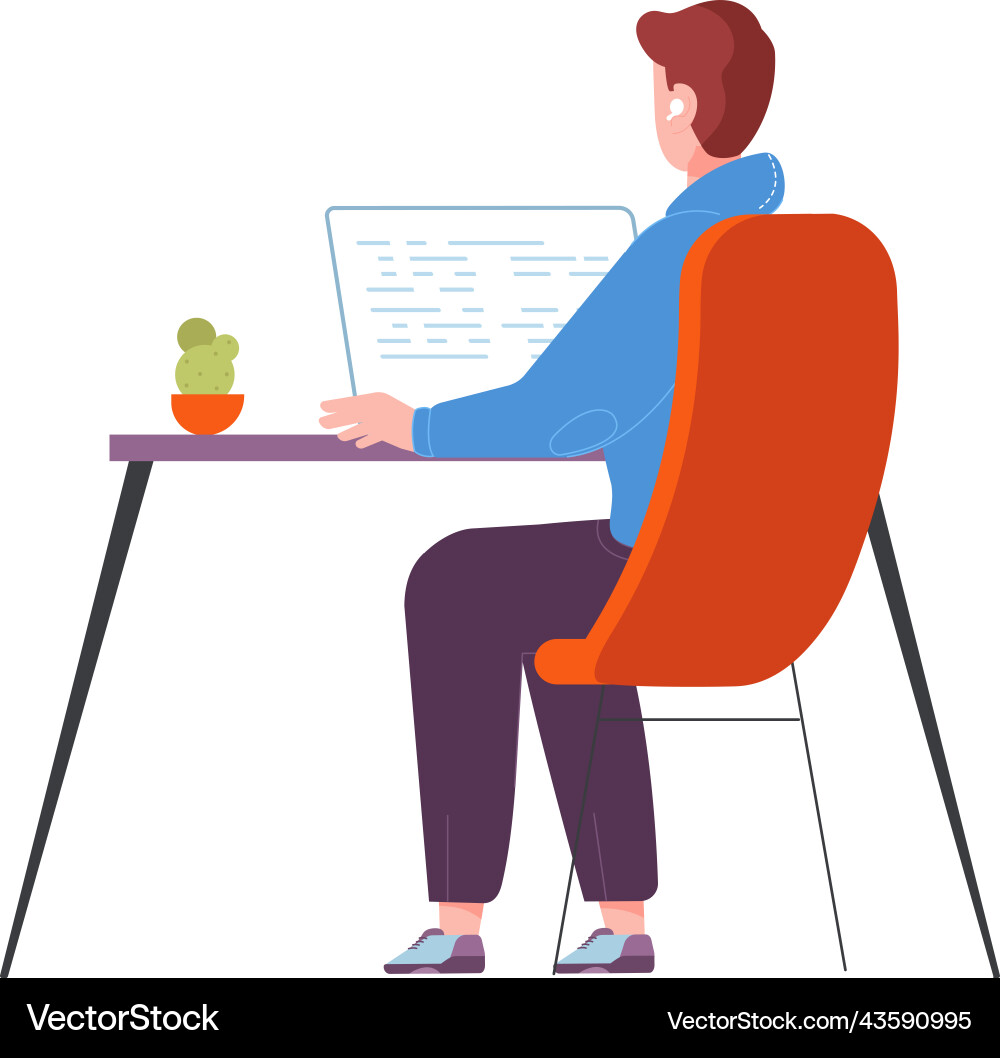Man looking on code computer screen programmer Man looking on code computer screen programmer vector image
