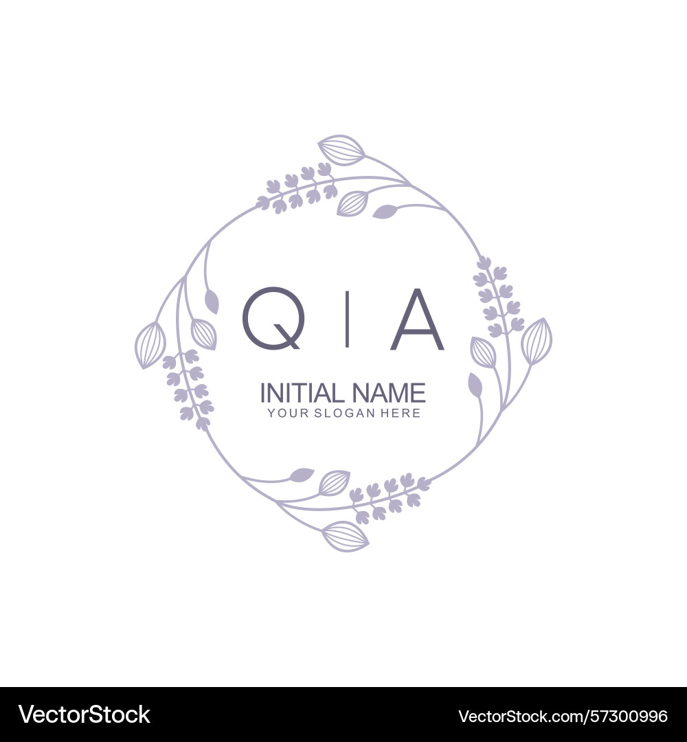 Floral inspired initial qa logos for timeless Floral inspired initial qa logos for timeless vector image