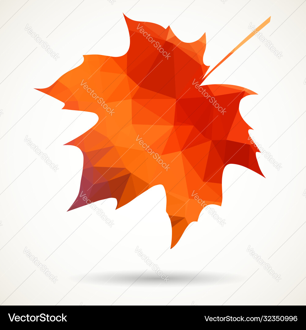 Triangular maple leaf Vector Image