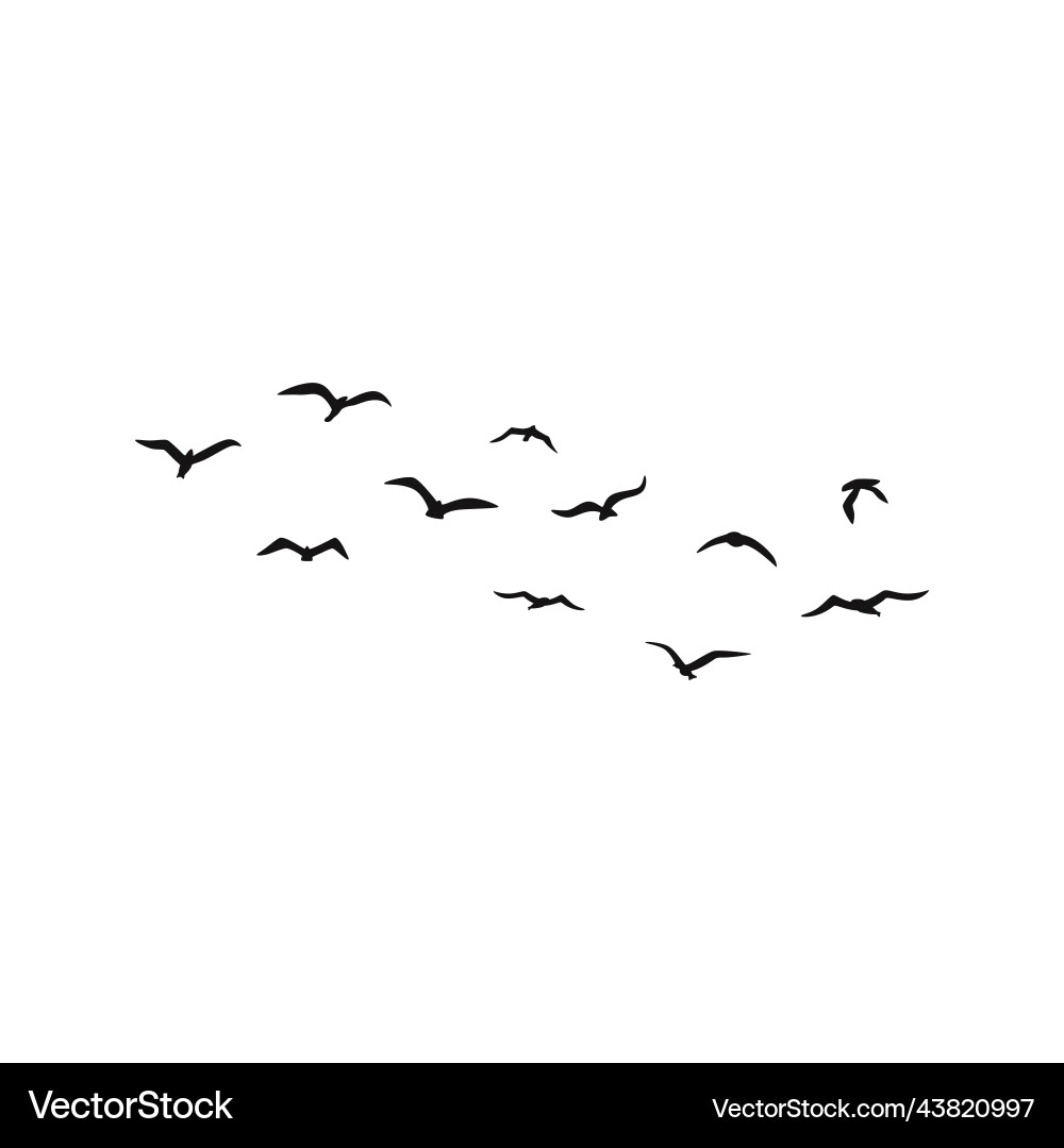 Flying Bird Silhouette Flock vector image