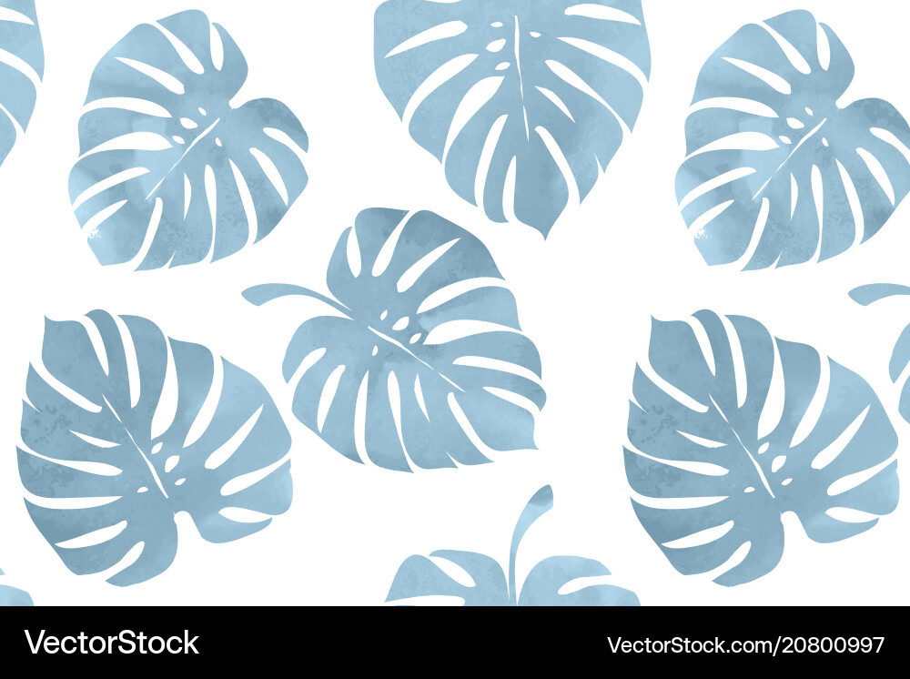 Tropical leaves monstera pattern Tropical leaves monstera pattern Vector Image