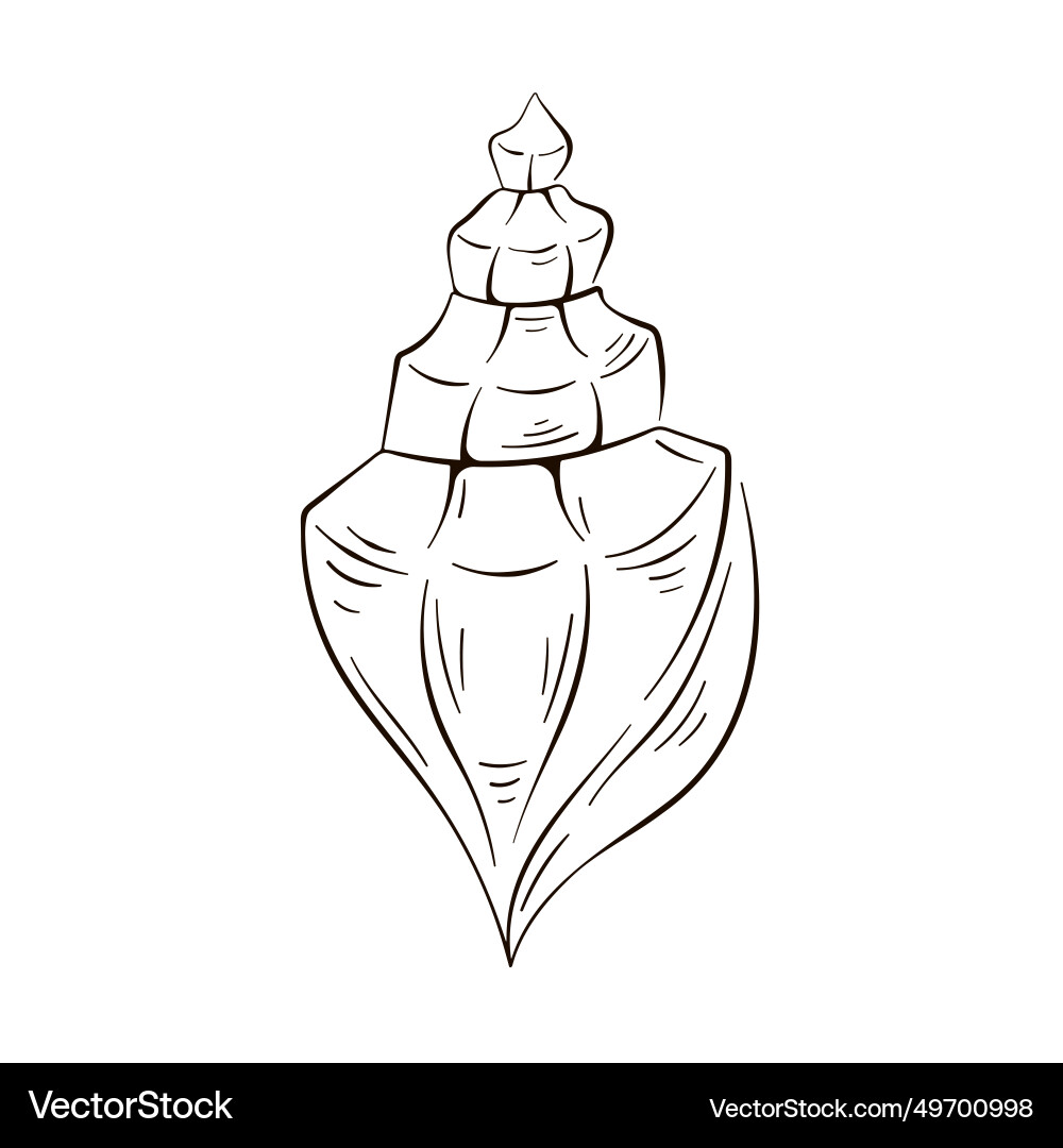 Seashell in line art style shell hand drawn Vector Image