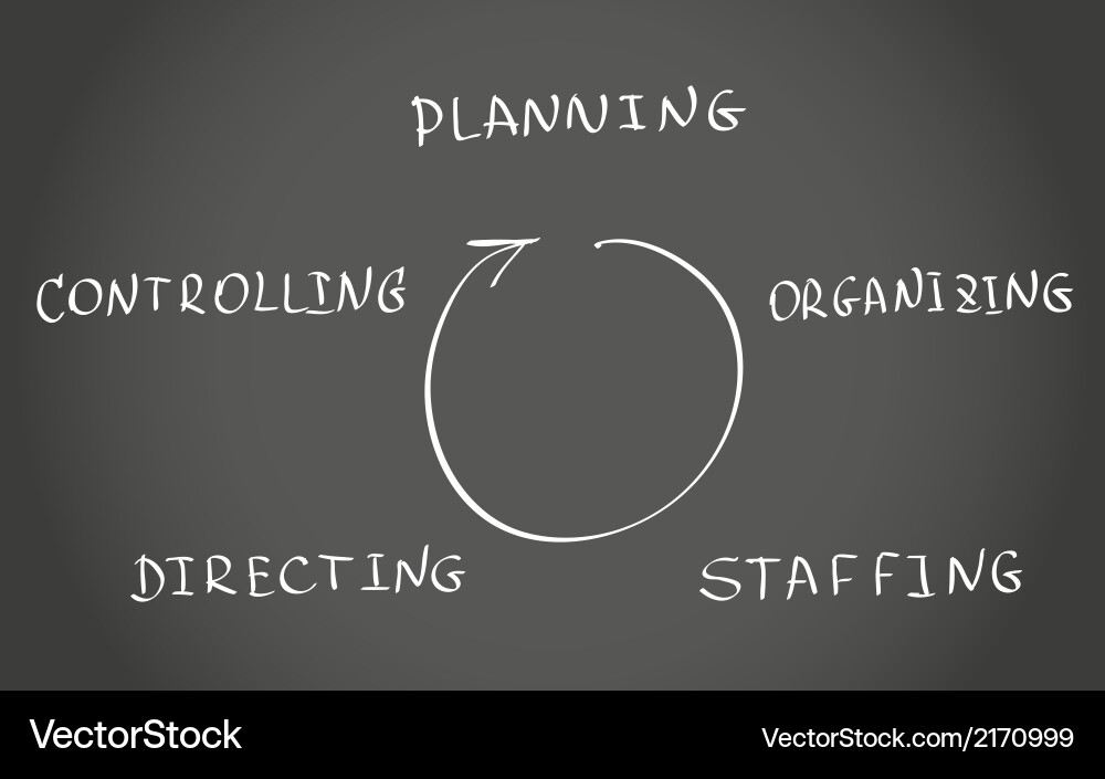 Management Functions Overview vector image