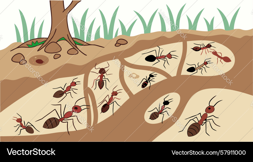 Ant colony life in soil nest design generative ai Vector Image