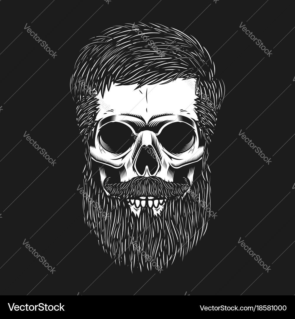 Bearded skull on dark background design element Vector Image