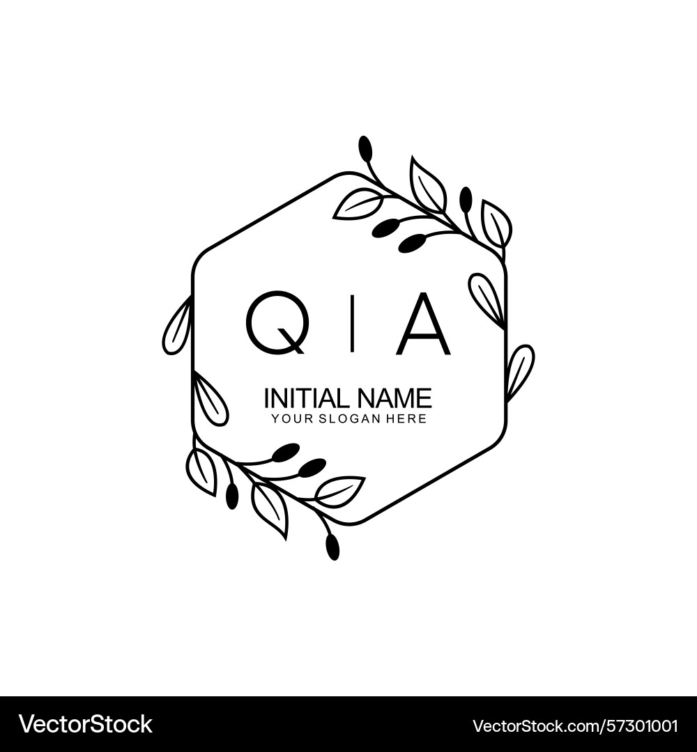 Floral inspired initial qa logos for timeless Floral inspired initial qa logos for timeless Vector Image