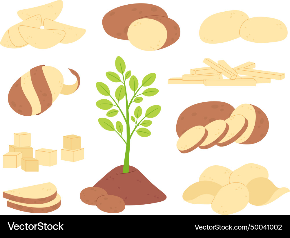 Cartoon sliced potatoes raw ingredients white Cartoon sliced potatoes raw ingredients white vector image