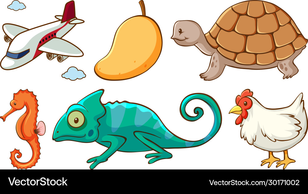 Large set different animals and other objects Large set different animals and other objects Vector Image