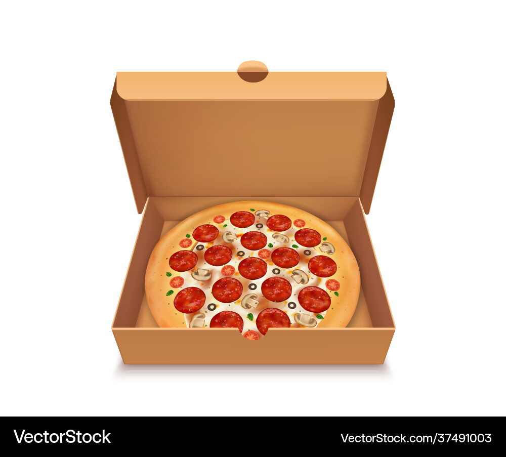 Realistic detailed 3d open view package box Realistic detailed 3d open view package box vector image