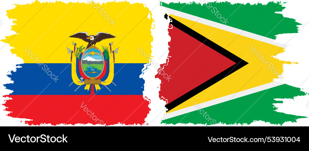 Guyana und ecuador grunge flags verbindung Guyana und ecuador grunge flags verbindung vektorbild