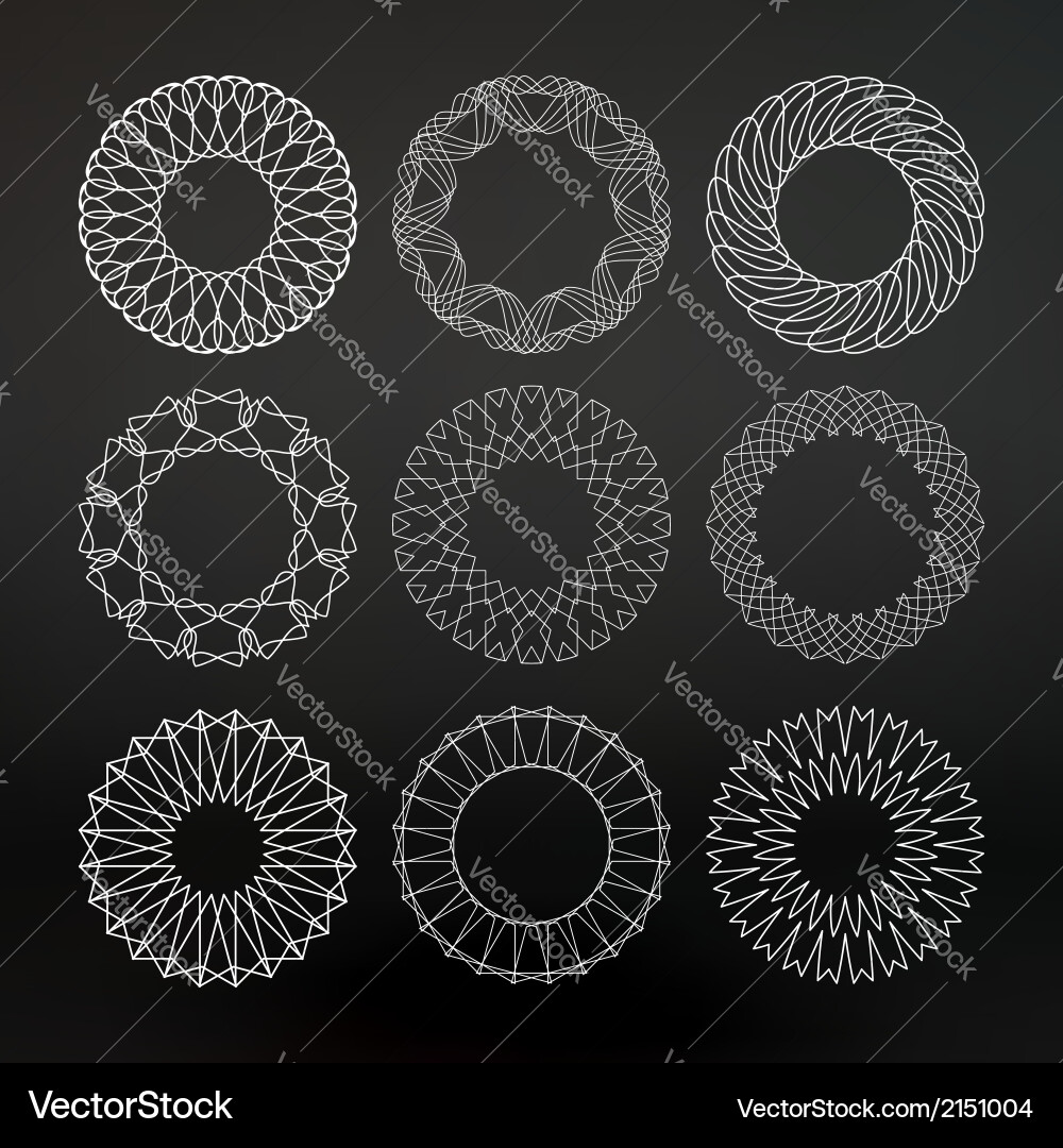 Intricate Swirls & Patterns vector image