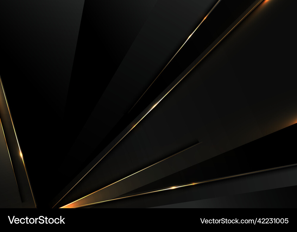 Golden Triangle Dimension Pattern vector image