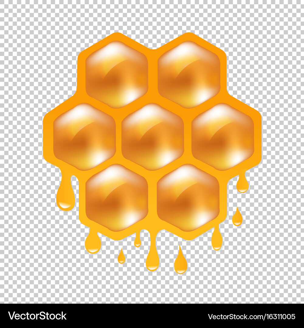 Honeycomb Pattern Transparent Background vector image