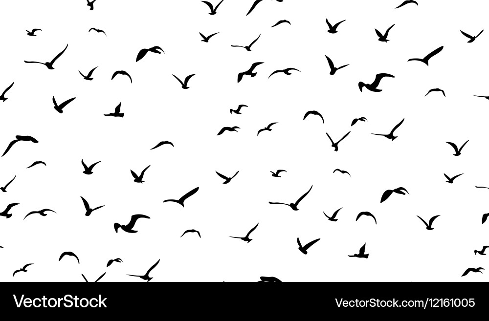 Seamless Seagull Flock Pattern Vector Image