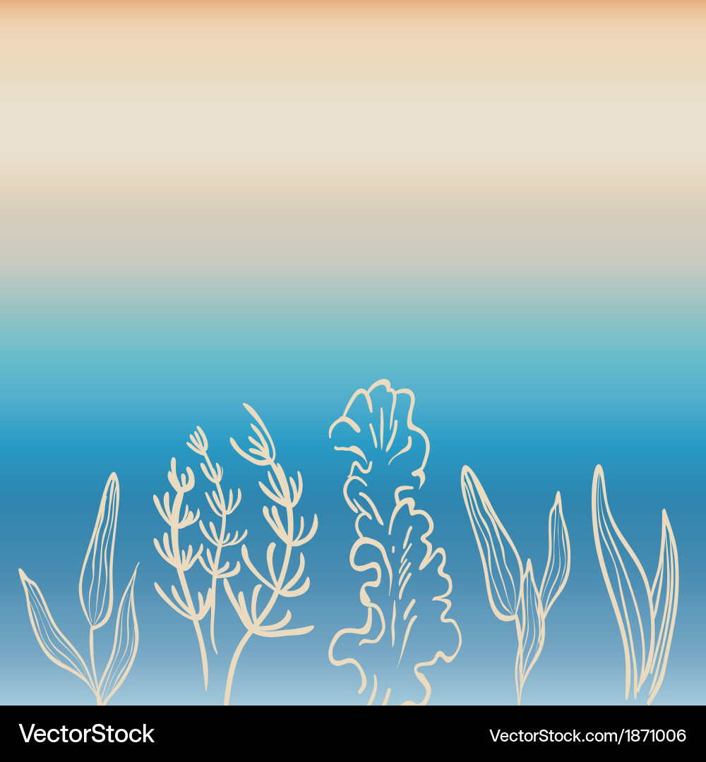 Stylized Algae Pattern Vector Image