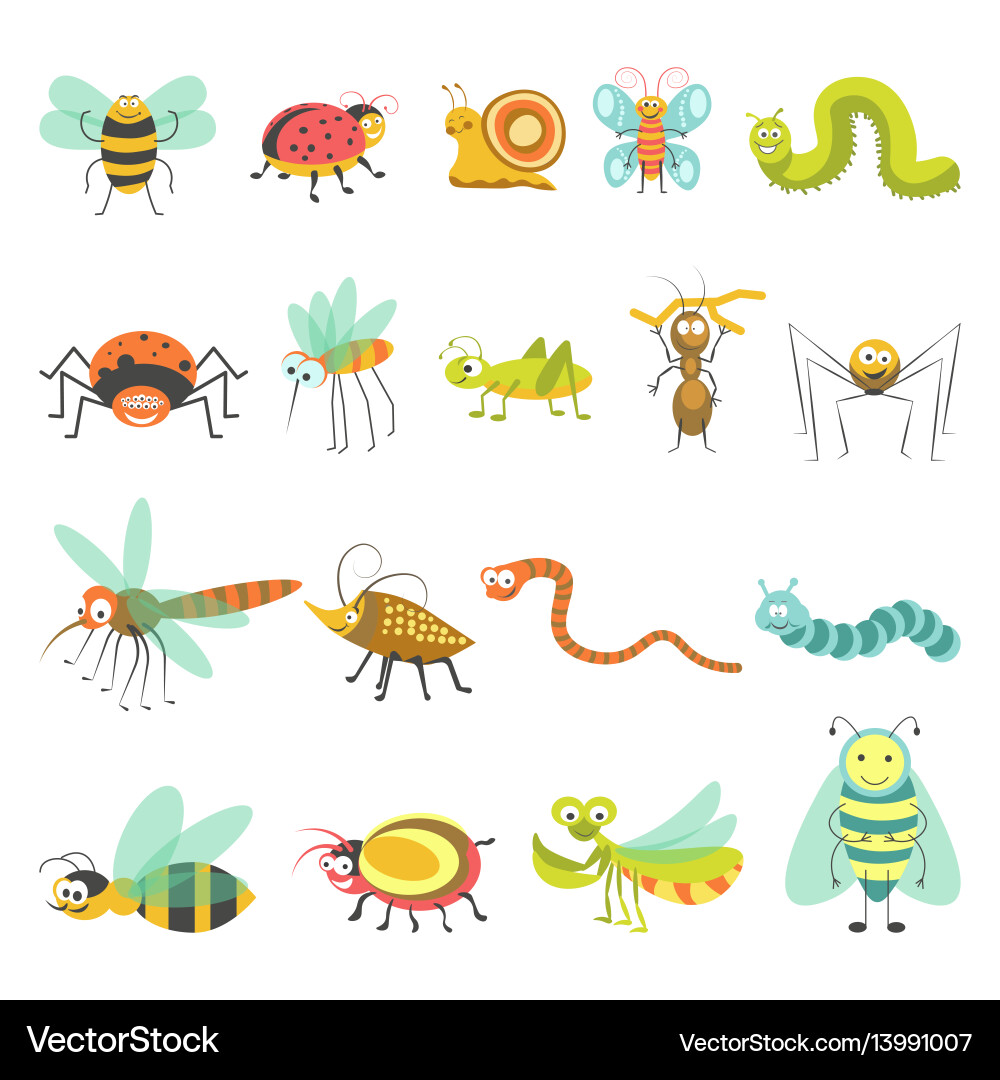 Cartoon Insect Collection Vector Image