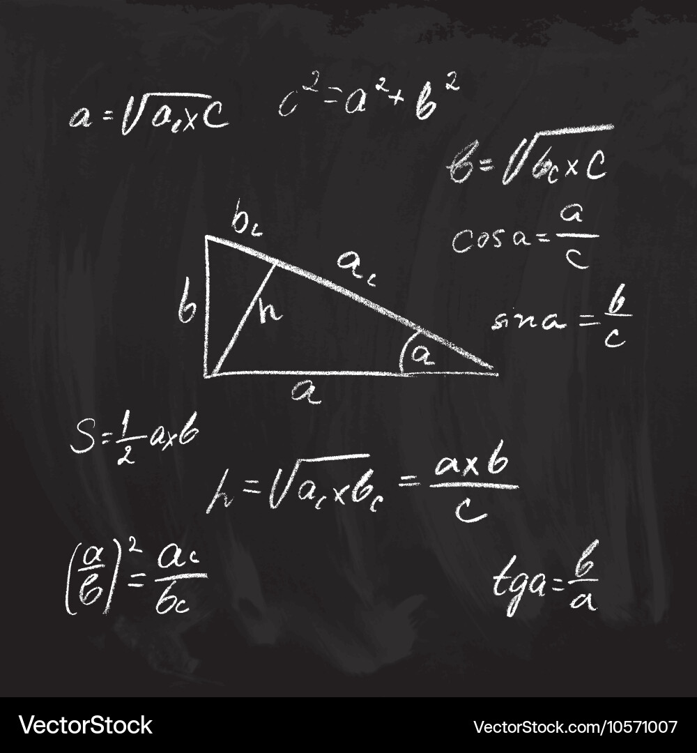 Rectangular Triangle Geometry vector image