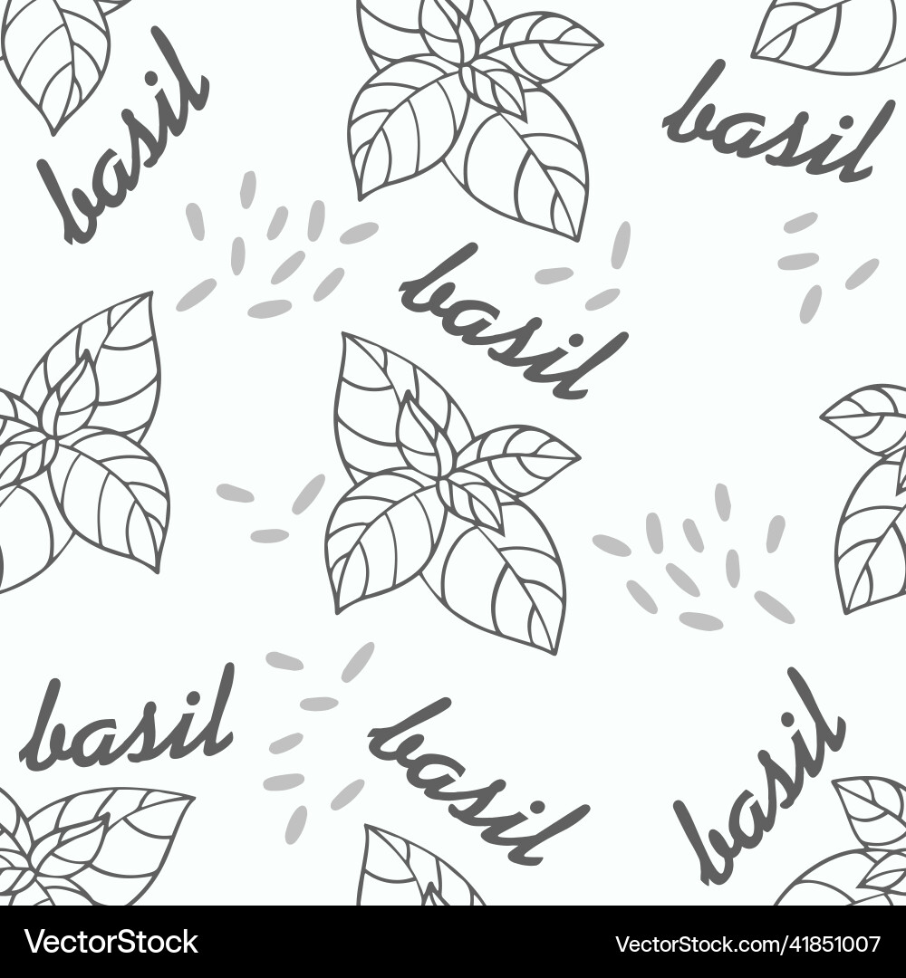 Seamless pattern with basil hand drawing Seamless pattern with basil hand drawing vector image